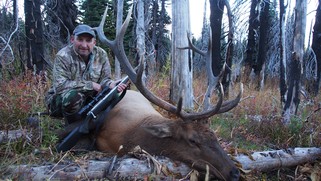 John Mayll Elk Canada Sako .338 Win. Mag.