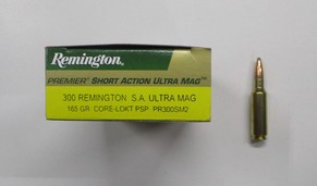 Remington 300 